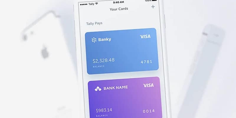 Tally Save (Money-Saving App) Promotions: $50 Sign-Up Bonus And $25 Waitlist Referral Offer