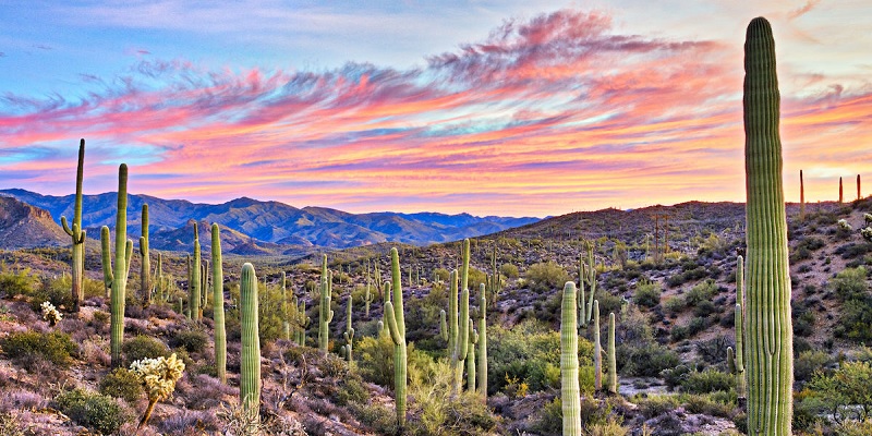 bank bonuses arizona