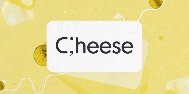 Cheese Checking Review: No SSN Required Plus up to 3% APY